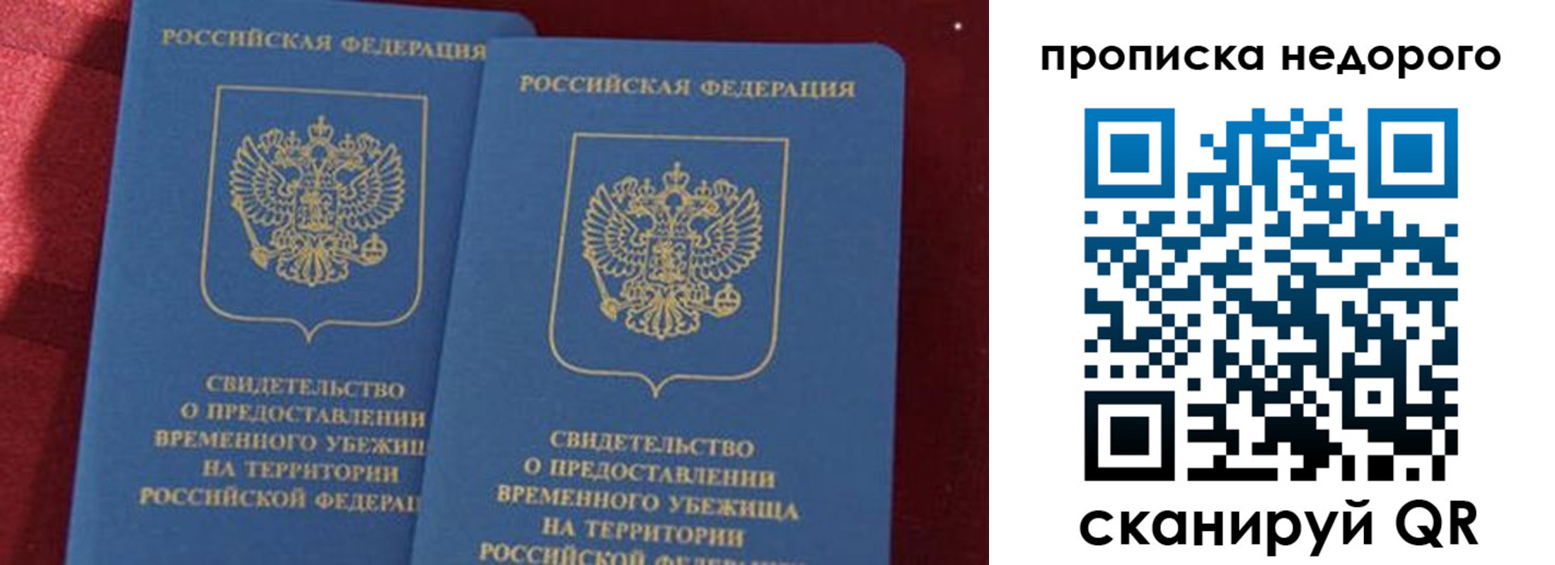 прописка гарантия в Порхове